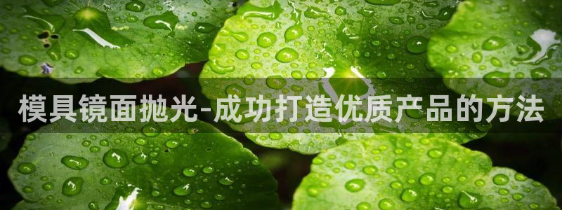太阳集团城：模具镜面抛光-成功打造优质产品的方法