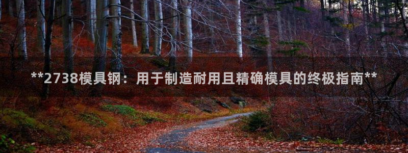 太阳集团总裁：**2738模具钢：用于制造耐用且精确模具的终极指南**