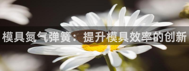 太阳成集团游戏古天乐：模具氮气弹簧：提升模具效率的创新