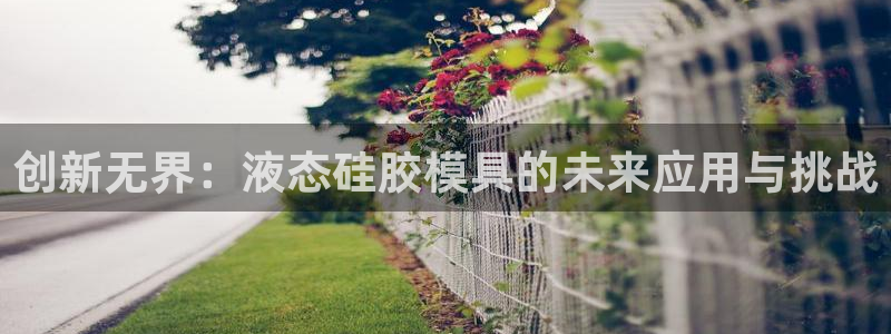 太阳集团网站古天乐代言：创新无界：液态硅胶模具的未来应用与挑战