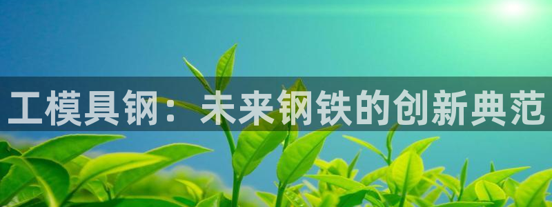 太阳集团娱乐官网8722：工模具钢：未来钢铁的创新典范