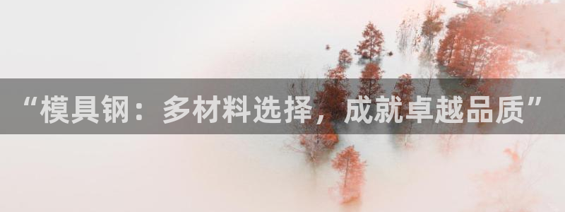 太阳集团app十佳平台：“模具钢：多材料选择，成就卓越品质”