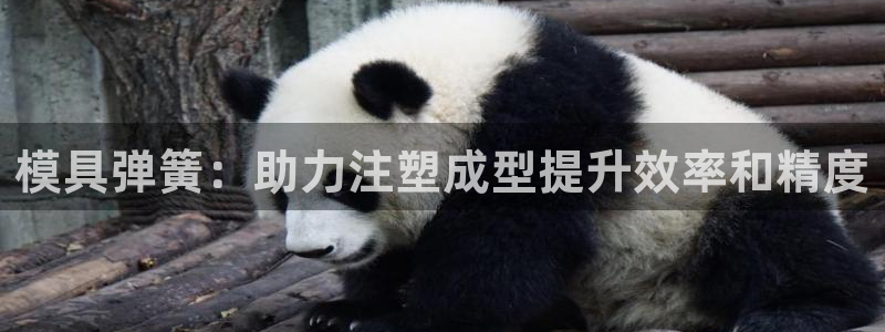 太阳集团股份有限公司官网：模具弹簧：助力注塑成型提升效率和精度
