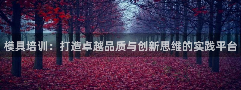 太阳gg登录地址：模具培训：打造卓越品质与创新思维的实践平台