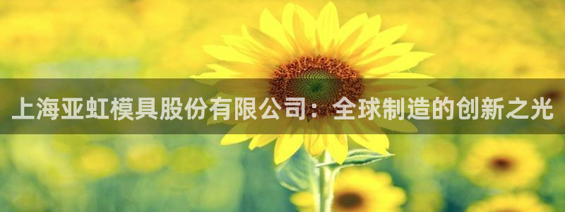 15vip太阳集团官网：上海亚虹模具股份有限公司：全球制造的创新之光