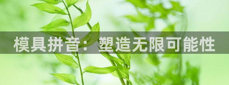 太阳集团主要是做什么的：模具拼音：塑造无限可能性