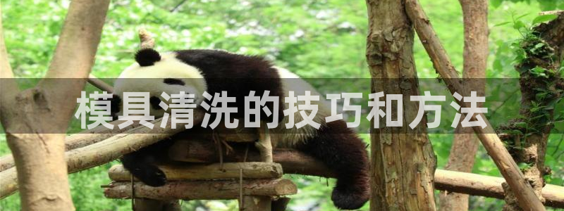 太阳成集团古天乐：模具清洗的技巧和方法
