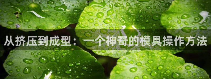 太阳集团城网站2017：从挤压到成型：一个神奇的模具操作方法