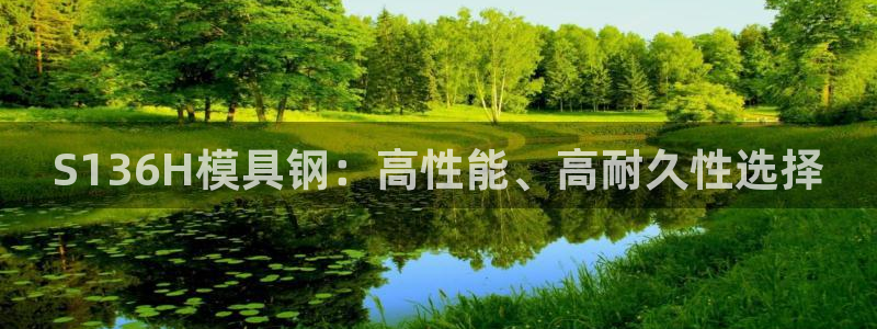 太阳集团下载链接怎么下载：S136H模具钢：高性能、高耐久性选择