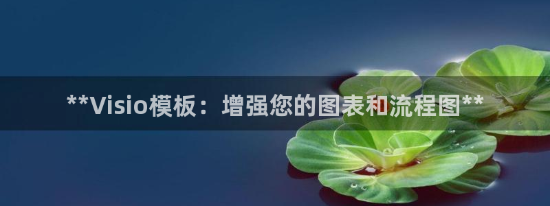 太阳集团电子游戏不朽的浪漫视频：**Visio模板：增强您的图表和流程图**