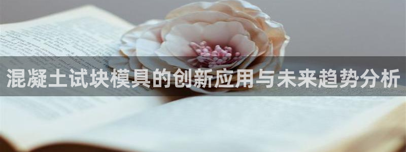 太阳诚集团APP：混凝土试块模具的创新应用与未来趋势分析