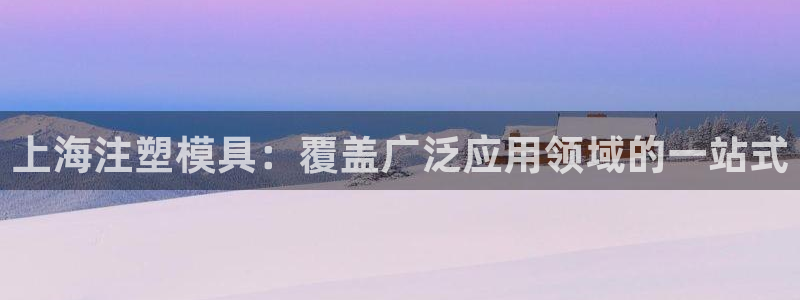 太阳gg平台地址：上海注塑模具：覆盖广泛应用领域的一站式