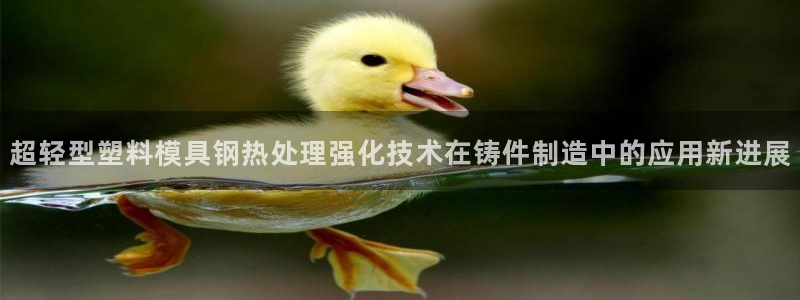 太阳集团董事长是谁呀