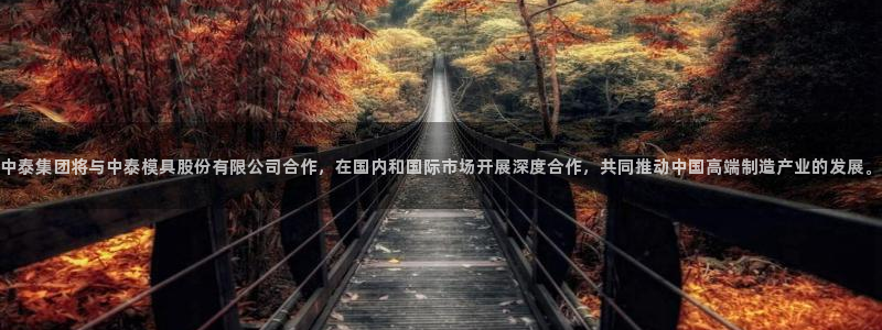 太阳成集团网址 app：中泰集团将与中泰模具股份有限公司合作，在国内和国际市场开展深度合作，共同推动中国高端制造产业的发展。