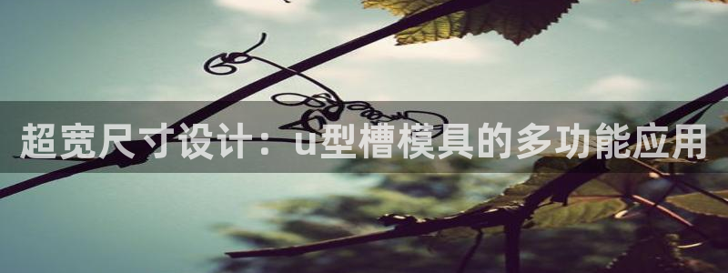 太阳集团股份有限公司：超宽尺寸设计：u型槽模具的多功能应用
