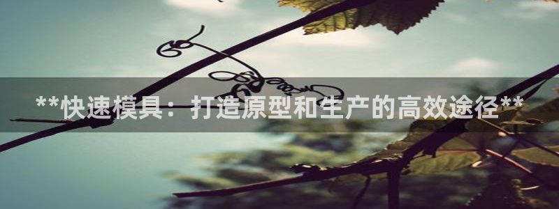 太阳集团网站视频：**快速模具：打造原型和生产的高效途径**