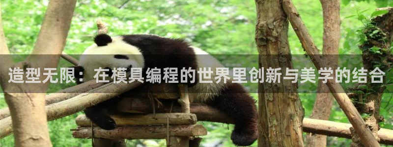 太阳成集团tyc234cc古天乐下载：造型无限：在模具编程的世界里创新与美学的结合