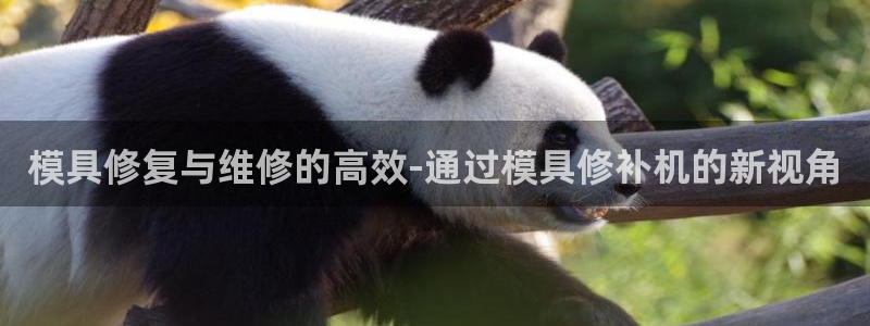 太阳阳城集团：模具修复与维修的高效-通过模具修补机的新视角