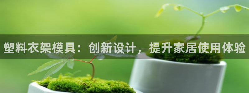 太阳集团娱乐官网8722：塑料衣架模具：创新设计，提升家居使用体验