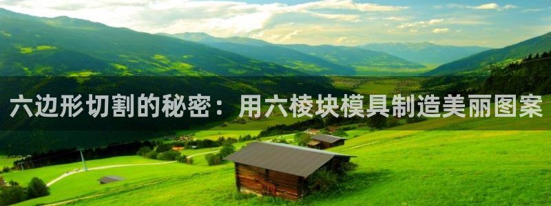 太阳gg会员登录：六边形切割的秘密：用六棱块模具制造美丽图案