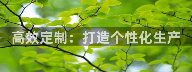 太阳成集团电子游戏：高效定制：打造个性化生产