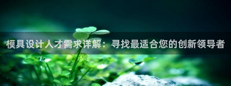 太阳阳城集团太阳卡：模具设计人才需求详解：寻找最适合您的创新领导者