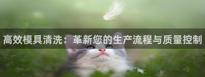 太阳成集团app下载：高效模具清洗：革新您的生产流程与质量控制