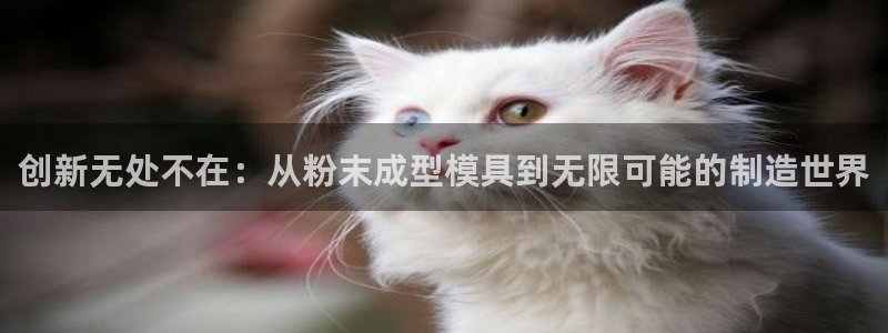 太阳集团电子游戏返还8元：创新无处不在：从粉末成型模具到无限可能的制造世界