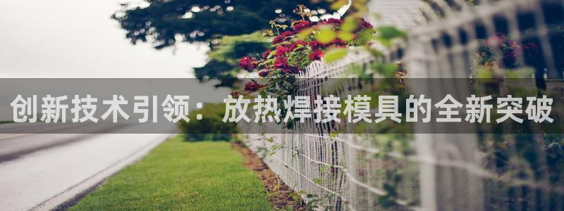 太阳集团城网址娱网 - 太阳集团电子游戏：创新技术引领：放热焊接模具的全新突破