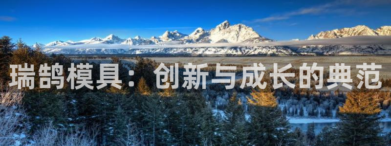 太阳集团2021备用网址：瑞鹄模具：创新与成长的典范