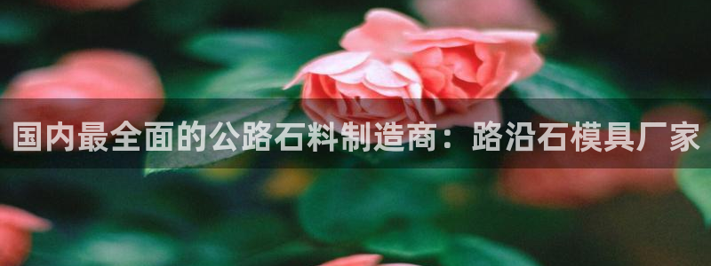 太阳集团股份有限公司是国企吗：国内最全面的公路石料制造商：路沿石模具厂家