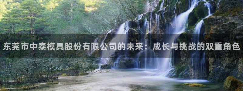 太阳成集团控股：东莞市中泰模具股份有限公司的未来：成长与挑战的双重角色