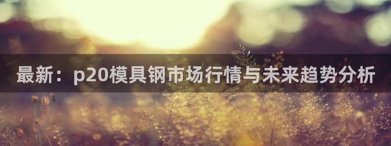 太阳gg登录地址：最新：p20模具钢市场行情与未来趋势分析