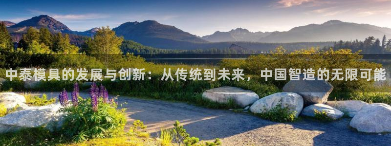 太阳集团控股有限公司：中泰模具的发展与创新：从传统到未来，中国智造的无限可能