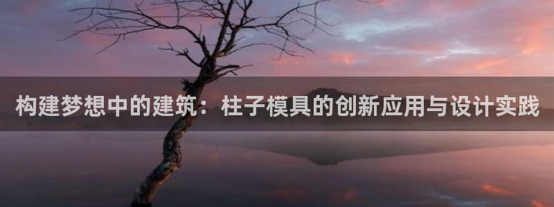 太阳appvip：构建梦想中的建筑：柱子模具的创新应用与设计实践