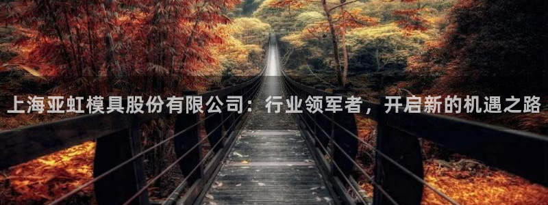 澳门太阳游戏城：上海亚虹模具股份有限公司：行业领军者，开启新的机遇之路