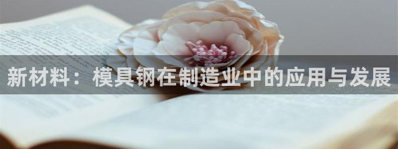 太阳集团app十佳平台是什么：新材料：模具钢在制造业中的应用与发展