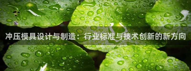 15vip太阳集团登录：冲压模具设计与制造：行业标准与技术创新的新方向