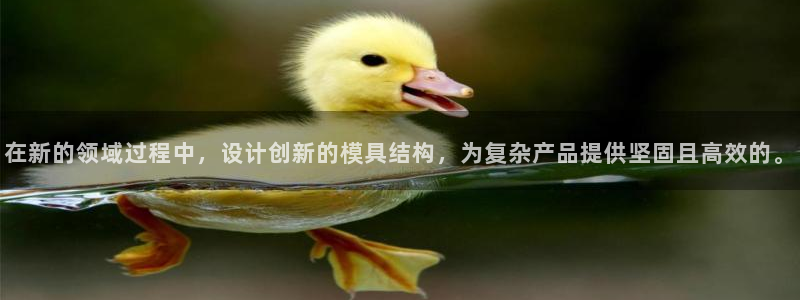 太阳成集团tyc151：在新的领域过程中，设计创新的模具结构，为复杂产品提供坚固且高效的。