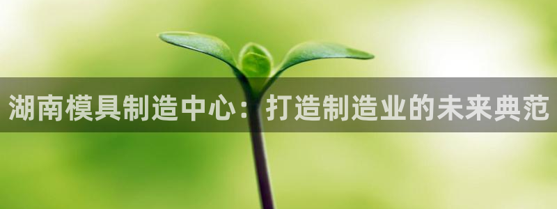 太阳董事长
