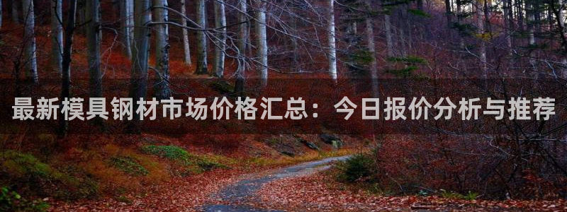 太阳成集团游戏：最新模具钢材市场价格汇总：今日报价分析与推荐