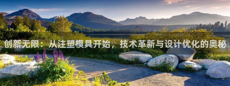 太阳成集团洗米华