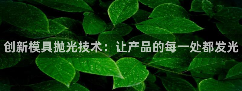 太阳集团网站官网：创新模具抛光技术：让产品的每一处都发光