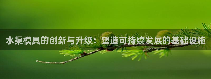 太阳成集团洗米华：水渠模具的创新与升级：塑造可持续发展的基础设施