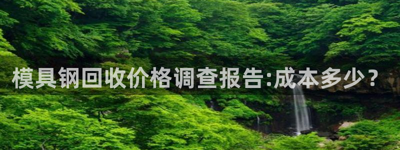 太阳成集团tyc234cc主页网址：模具钢回收价格调查报告:成本多少？
