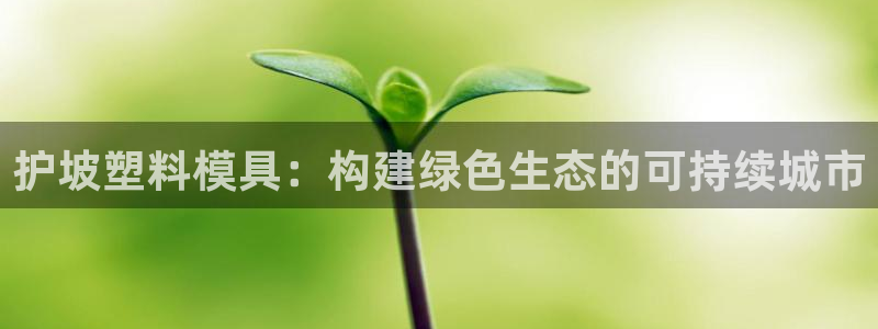 太阳成集团不能提现：护坡塑料模具：构建绿色生态的可持续城市