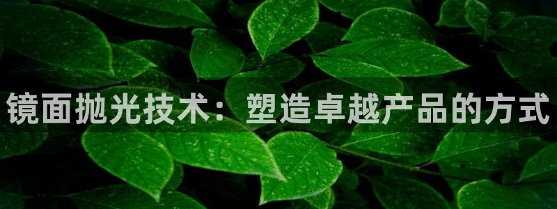 太阳2平台网站：镜面抛光技术：塑造卓越产品的方式