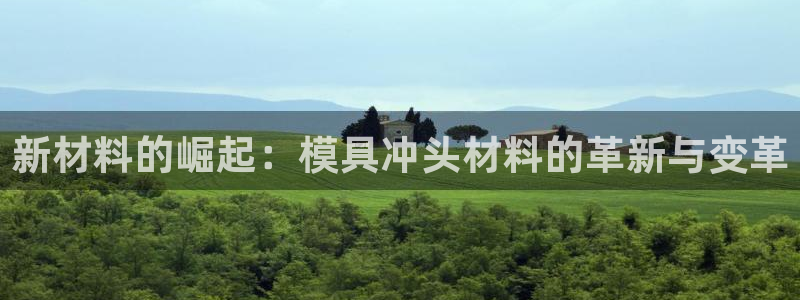 江苏太阳集团冷青松：新材料的崛起：模具冲头材料的革新与变革
