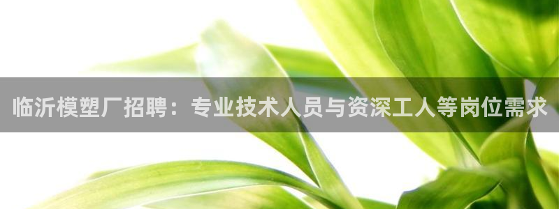 太阳集团入口官网网址：临沂模塑厂招聘：专业技术人员与资深工人等岗位需求