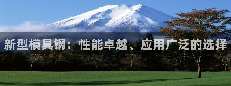太阳集团网站游戏：新型模具钢：性能卓越、应用广泛的选择